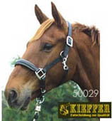 キーファー
革無口 "ウラ"