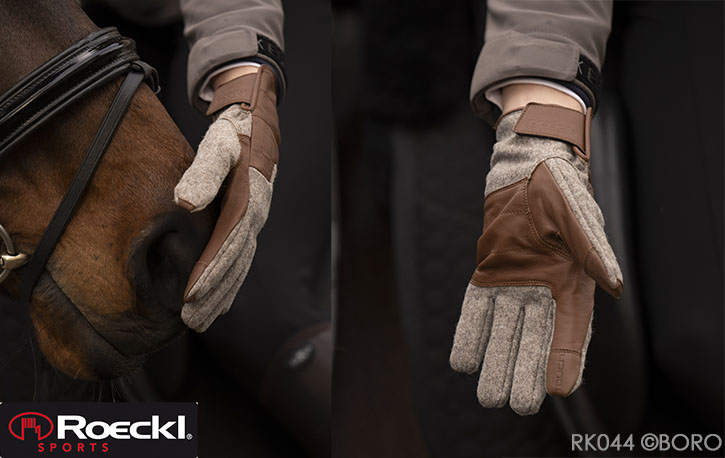 ロッケル冬用
ウィンダム２