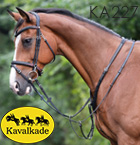 カバルカーデ
ランニングマルタン
アズリール