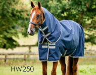 アミーゴ
ターンアウトプラス
ミディアム 200g