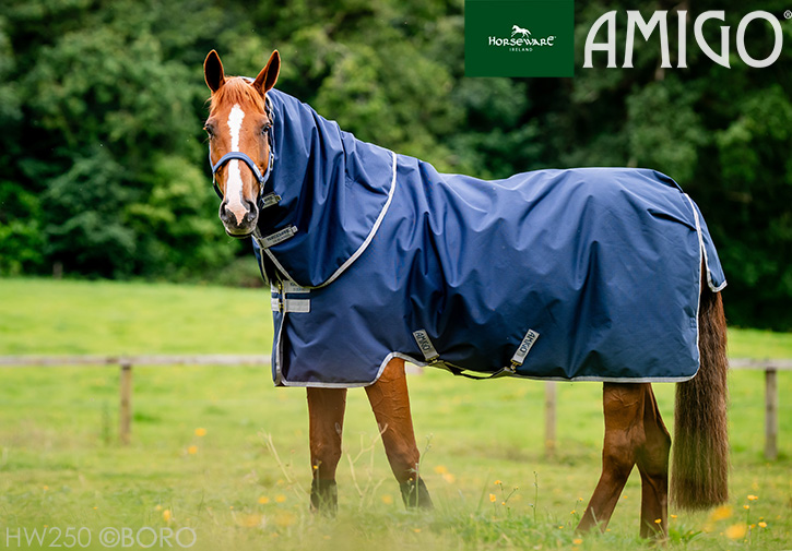 アミーゴ
ターンアウトプラス
ミディアム 200g