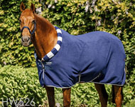 ホースウエア
ニューマーケット　
コージーフリース