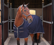 シャイアー
テンペスト ステーブルシート