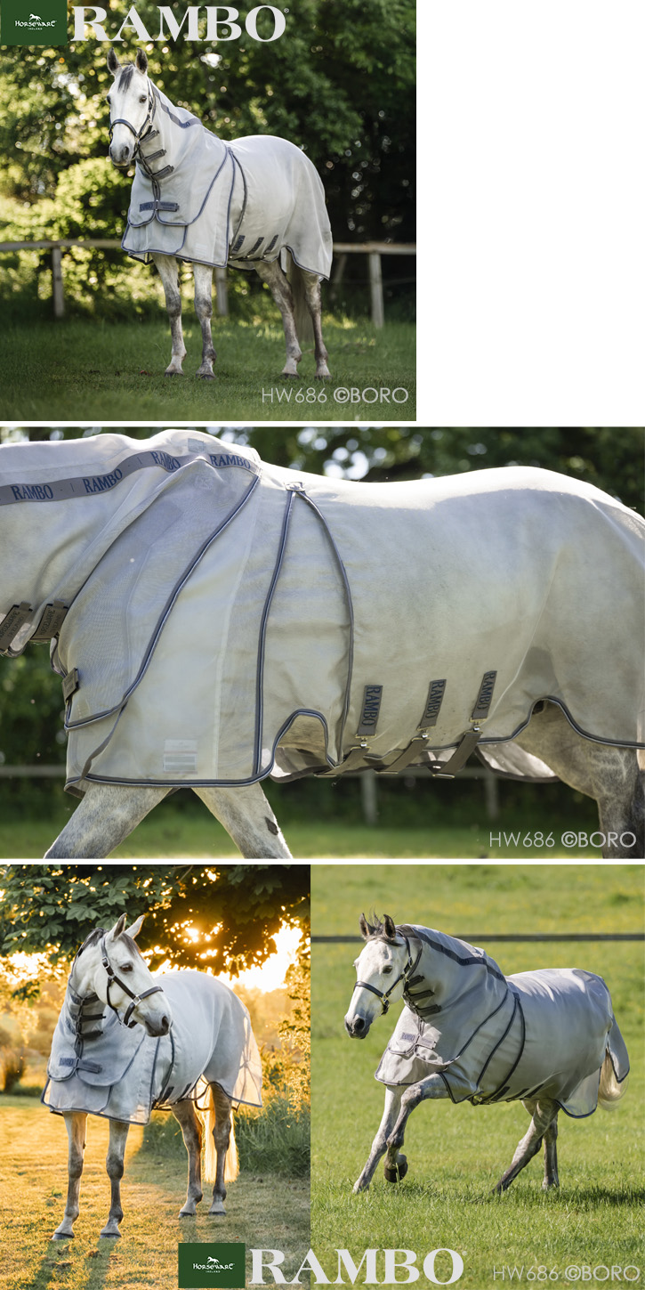 ランボー
オプティモプロテクタープラス