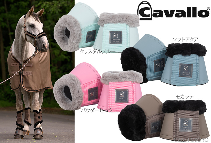 カバロ
ボア付きわんこ
ジョディ