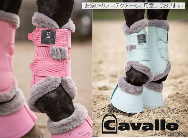 カバロ
ボア付きわんこ
ジョディ