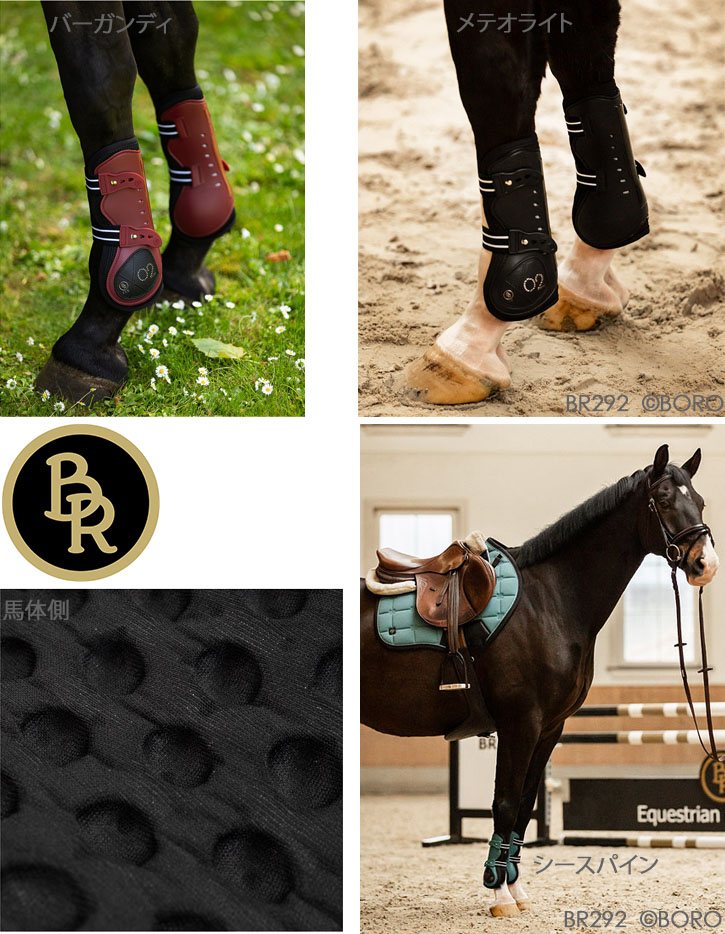 BR 
CLXプロテクター
前肢用