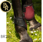 BR
CLXプロテクター
後肢用