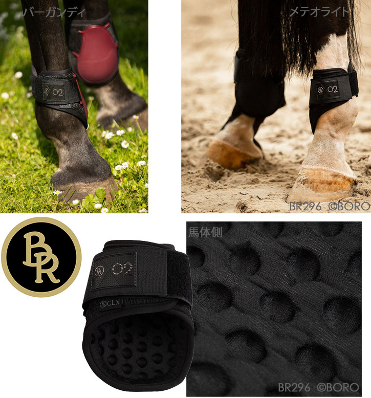 BR
CLXプロテクター
後肢用