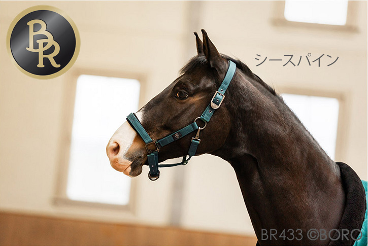 BR ナイロン無口
CLXホルター