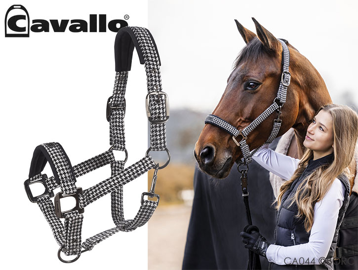 カバロ 無口
ペッピー