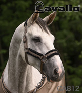 カバロ
ボア付き無口
ジェロ