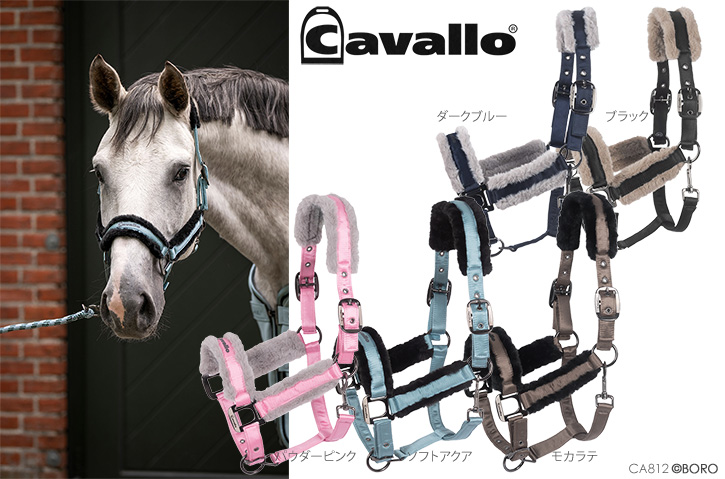 カバロ
ボア付き無口
ジェロ