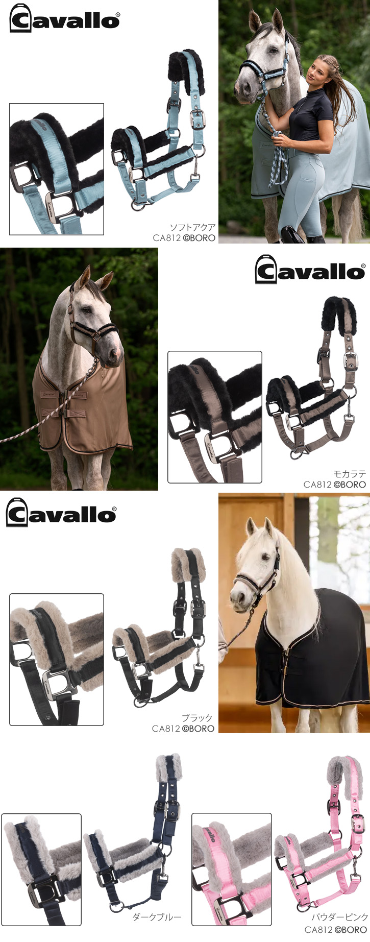 カバロ
ボア付き無口
ジェロ