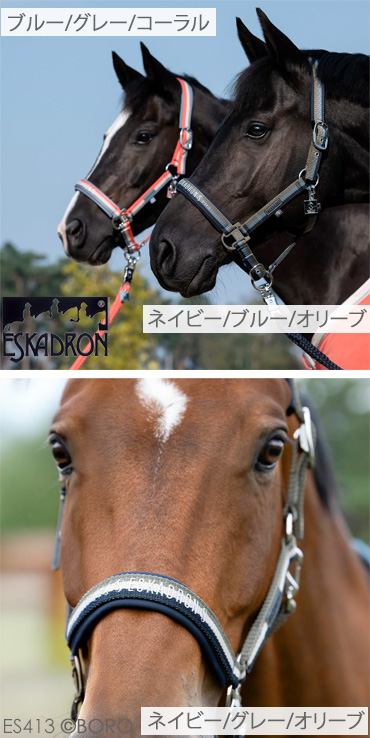 エスカドロン無口
クラシックスポーツ