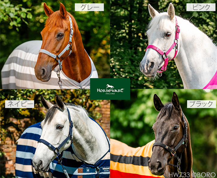 ホースウエア
ニューマーケット無口