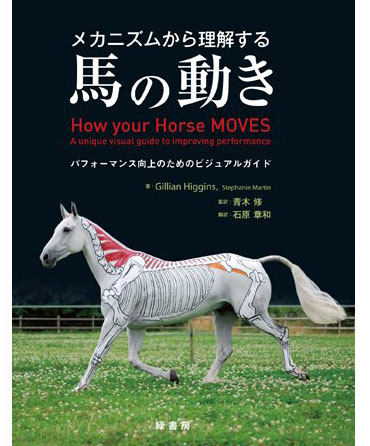 メカニズムから理解する
馬の動き