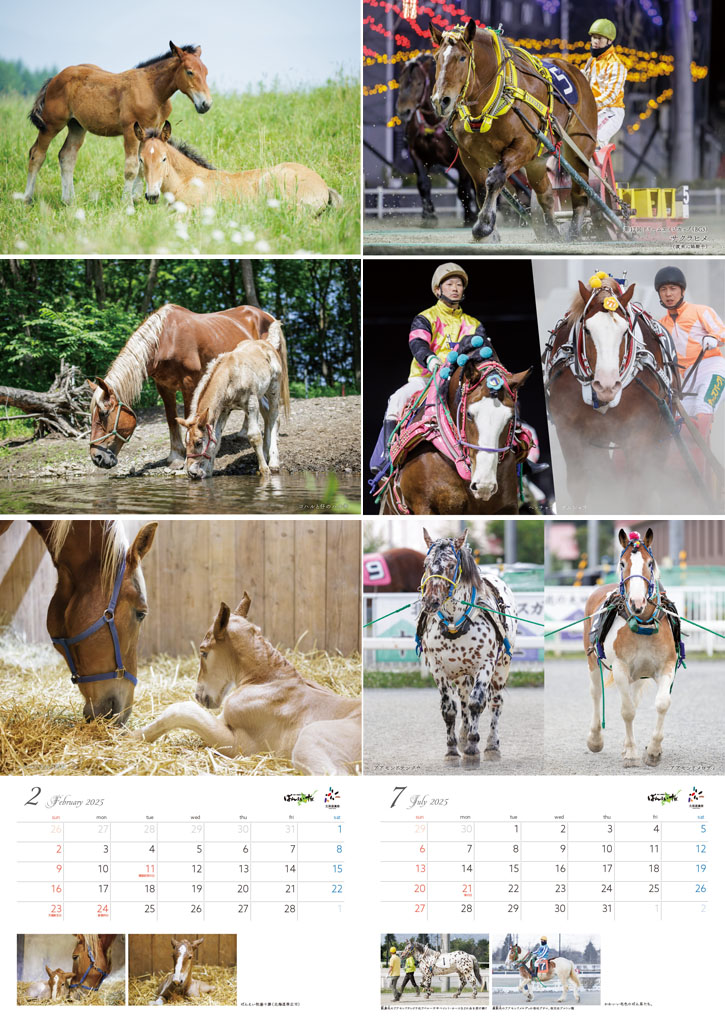 ばんえい競馬カレンダー2024
「紡ぐ愛」