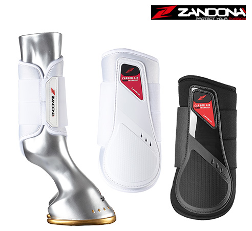 【新入荷】ZANDONA カーボンエア ワークアウト