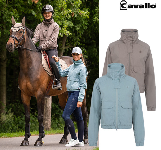 【新入荷】Cavallo ジャケット ビリー