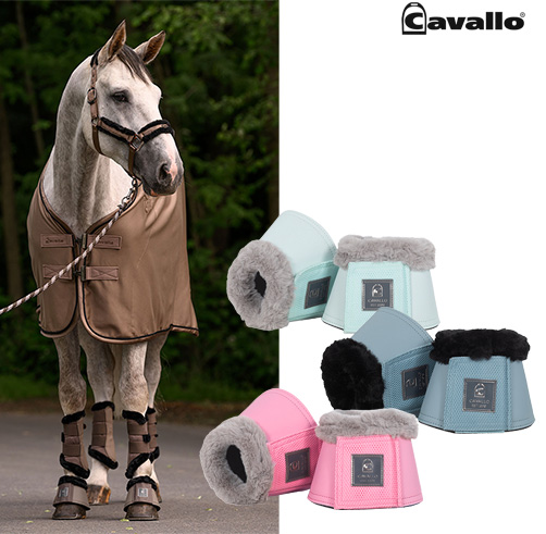 【新入荷】Cavallo ボア付きわんこ ジョディ