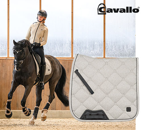【新入荷】Cavallo馬場用ゼッケン ロンジャ