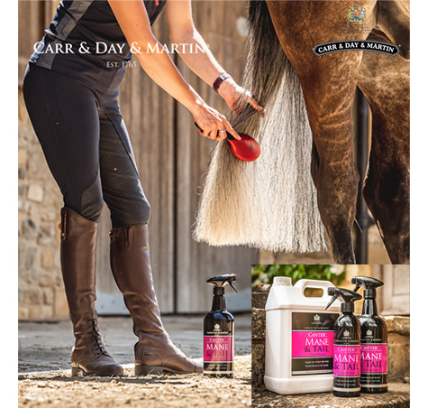 【再入荷】Carr&Day&Martin テールローション