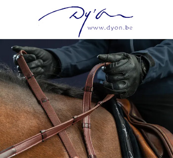 【再入荷】Dy'on 手綱各種