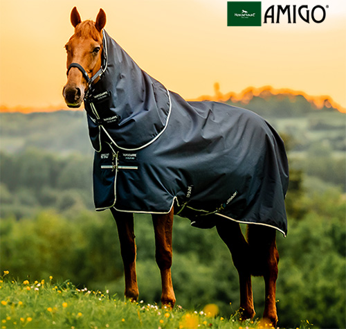 【新入荷】アミーゴ ターンアウトプラス ライト100g