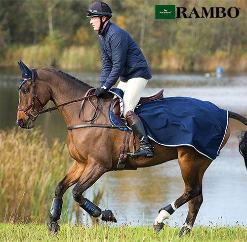 【再入荷】ランボーコンペティションシート