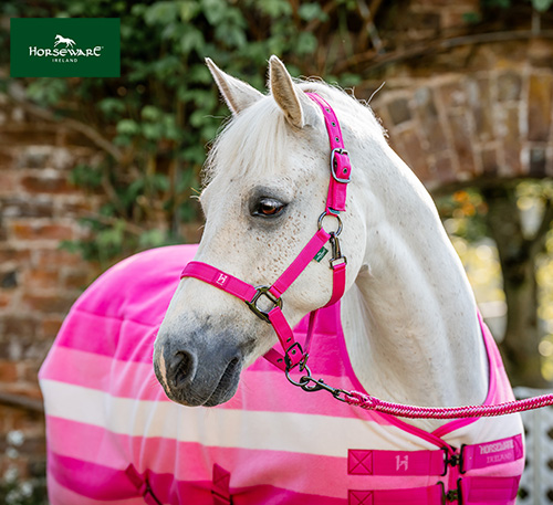 【おすすめ】ホースウエアニューマーケットフリース