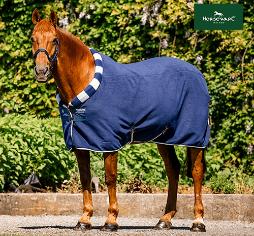 【おすすめ】ニューマーケット コージーフリース