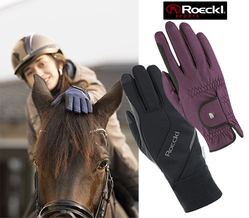 【新入荷】Roeckl 冬用グローブ各種