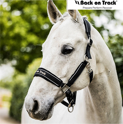 【再入荷】BACK ON TRACK 無口 ウェラノ