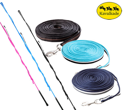 【新入荷】追い鞭・調馬策